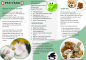 Preview: PEN-YANG® Energie Kuscheltier Schaf